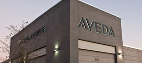 Aveda Orlando Institute